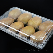 Transparent Dry Packaging Disposable Plastic Fruit Container Fresh Fruit Box for Kiwifruit